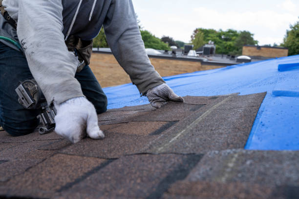 Best Roof Gutter Cleaning  in Cameron, WI
