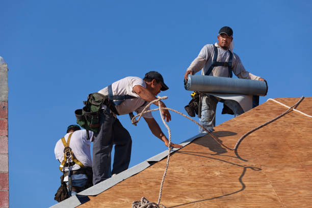 Best Local Roofing Companies  in Cameron, WI