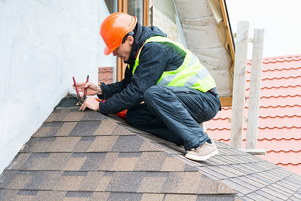 Best Metal Roofing Contractor  in Cameron, WI