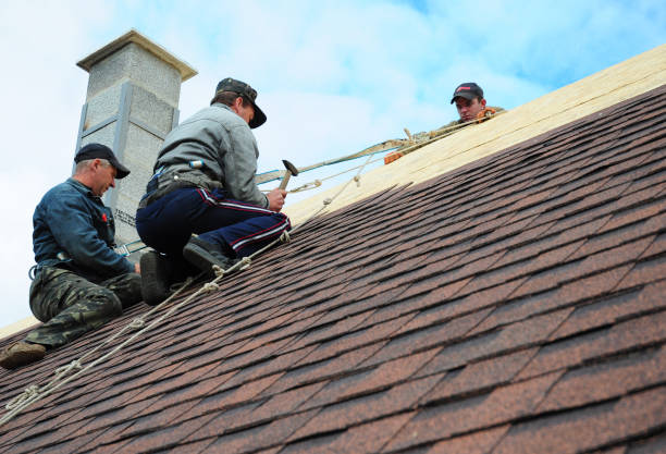 Best Gutter Installation and Roofing  in Cameron, WI