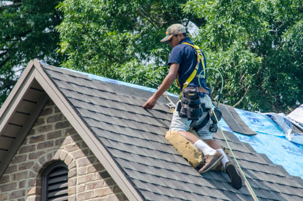 Best Local Roofing Companies  in Cameron, WI